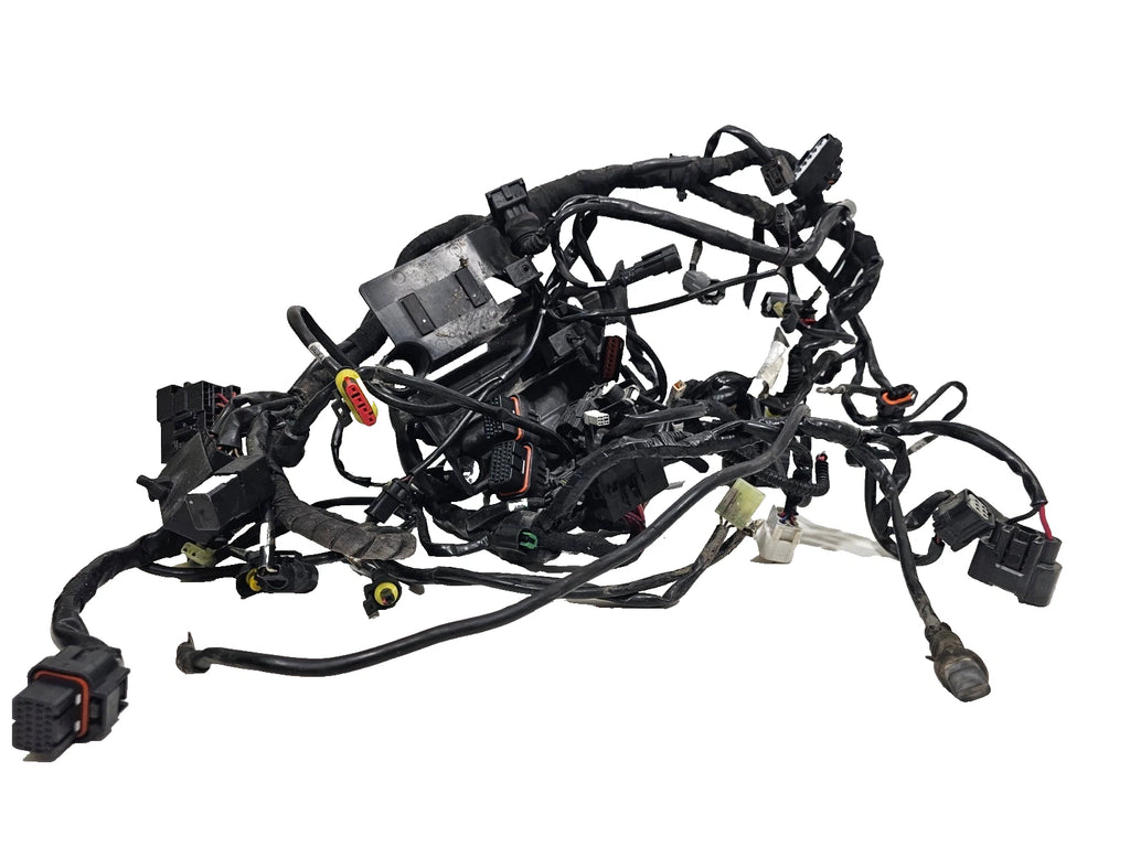 Faisceau éléctrique Ducati Multistrada 1200 S 2010-2012